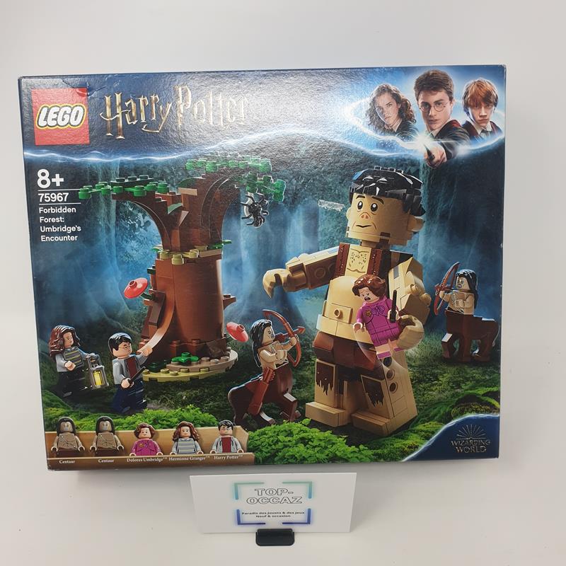 Lego Harry Potter 75967 La forêt interdite