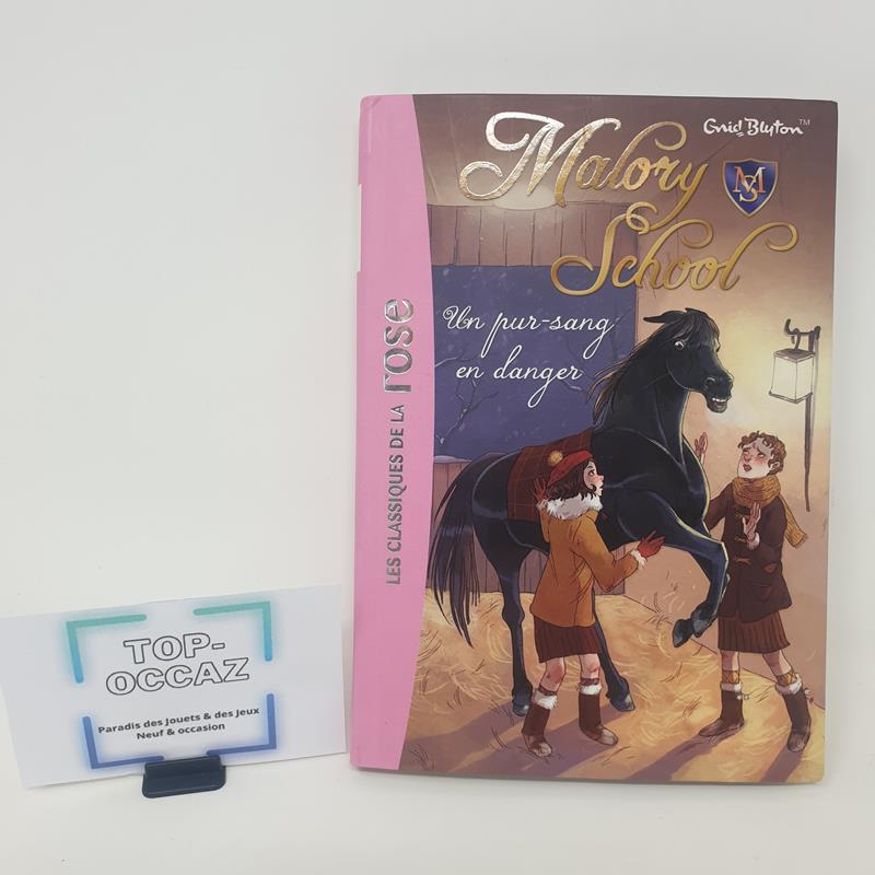 Malory School, Un pur sang en danger Tome 3 Bibliothèque Rose