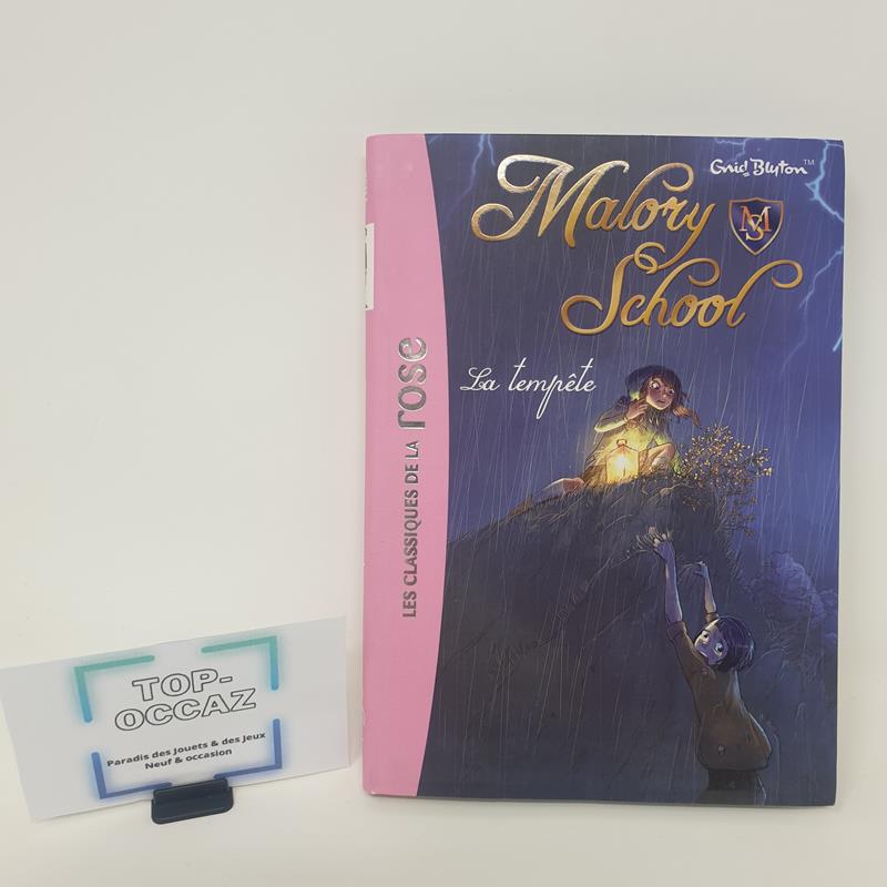 Malory School, La tempête Tome 2 Bibliothèque Rose